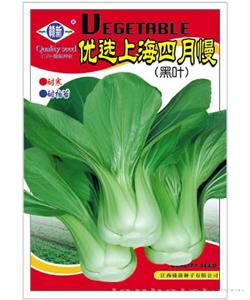 优选上海四月慢
