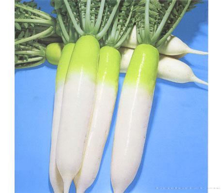 夏跃进