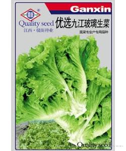 优选九江玻璃生菜