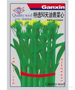 特选50天油青菜心