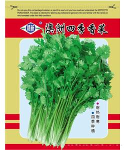  澳洲四季香菜