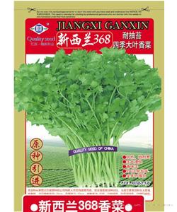 新西兰368香菜