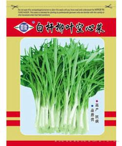  白杆柳叶空心菜