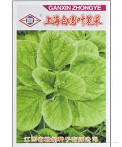 上海白圆叶苋菜