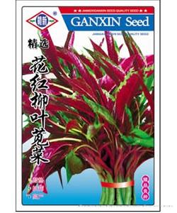花红柳叶苋菜