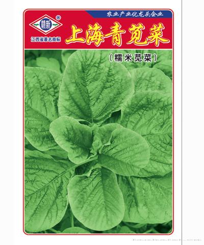 上海青苋菜