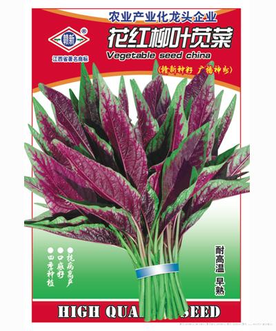 花红柳叶苋菜