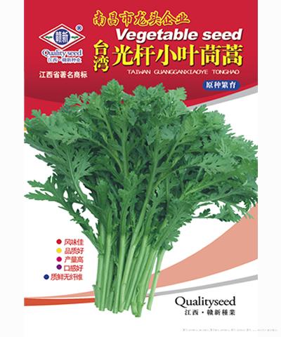  台湾光杆小叶茼蒿