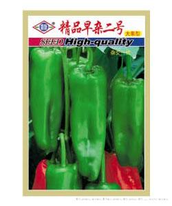 精品早杂二号 [详情]