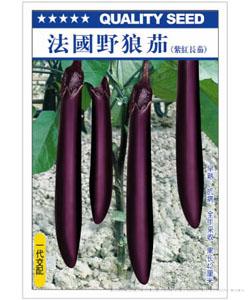  法国野狼茄