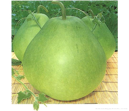 下野白