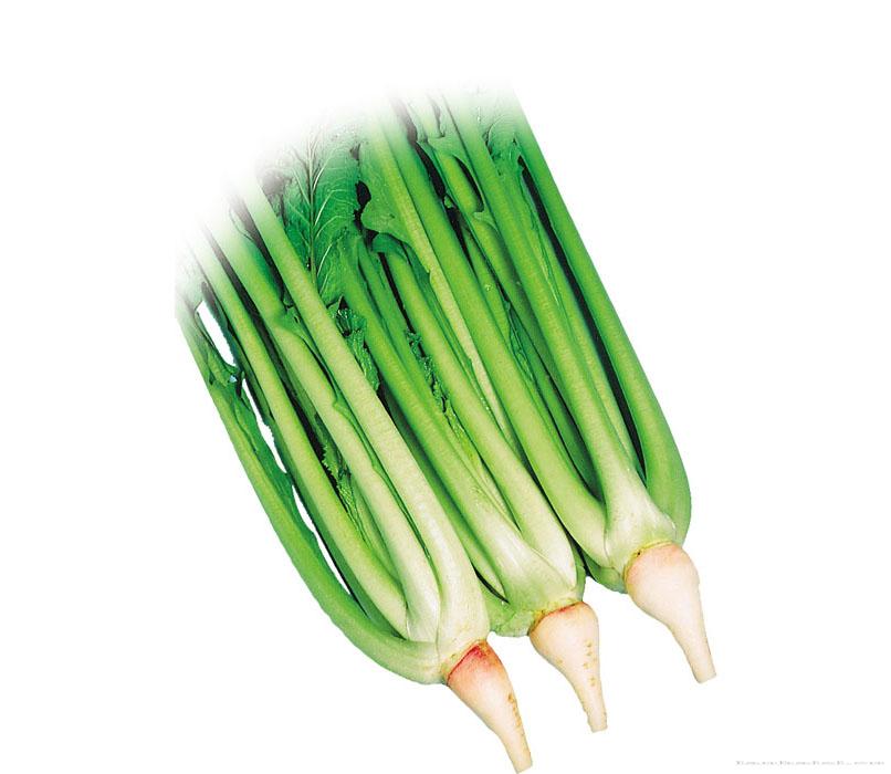 秋时野泽菜