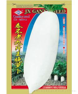春不老九斤王晚萝卜