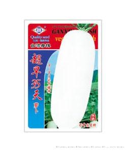  超早35天萝卜