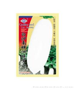 白沙南畔洲晚萝卜