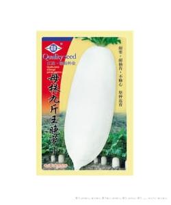 母株九斤王晚萝卜