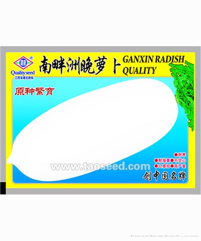 南畔洲晚萝卜
