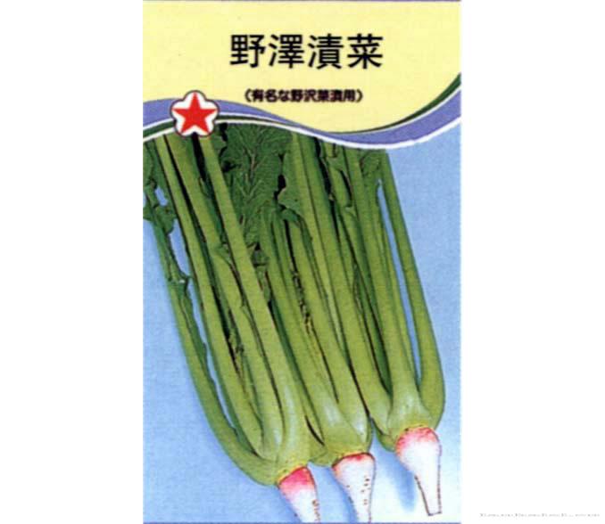 野泽渍菜