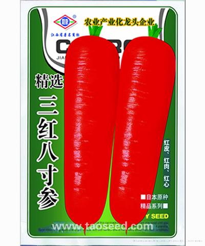  精选三红八寸参