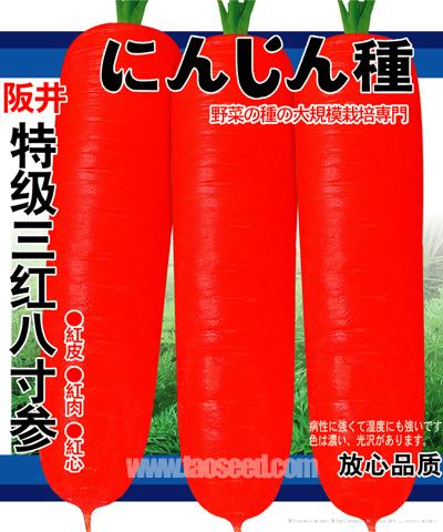  钣井特级三红八寸参