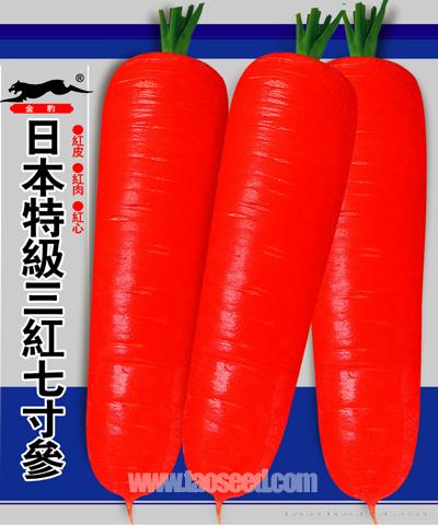日本特级三红七寸参