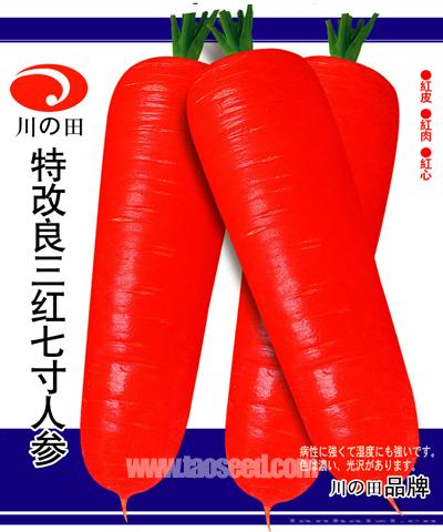  特级改良三红七寸人参