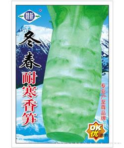 冬春耐寒香笋