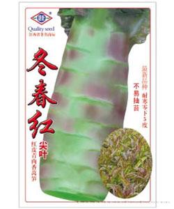  冬春红