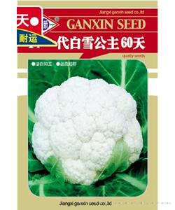 一代白雪公主60天