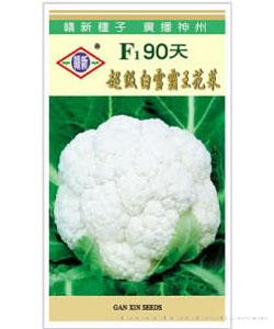 F1 90天超级白雪霸王花菜