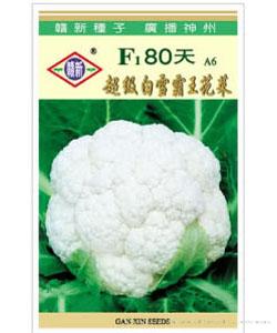 F1 80天超级白雪霸王花菜