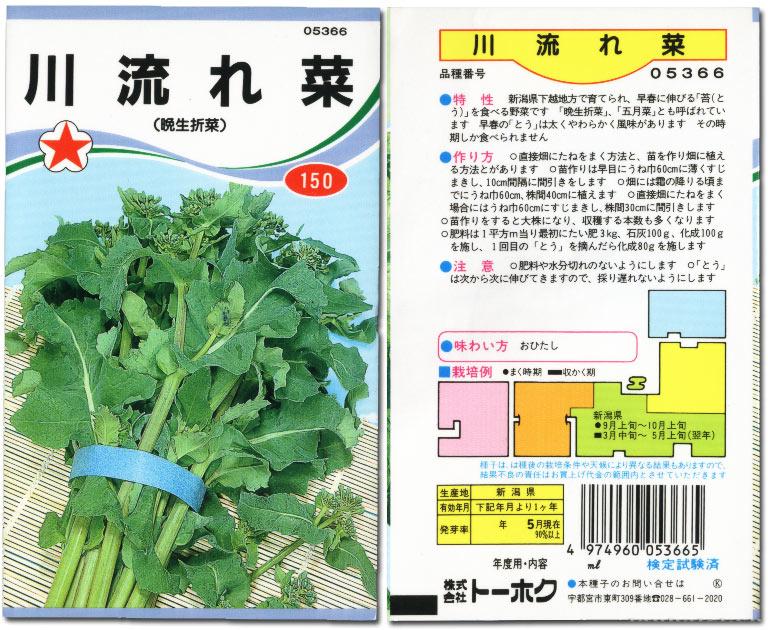 山形青菜