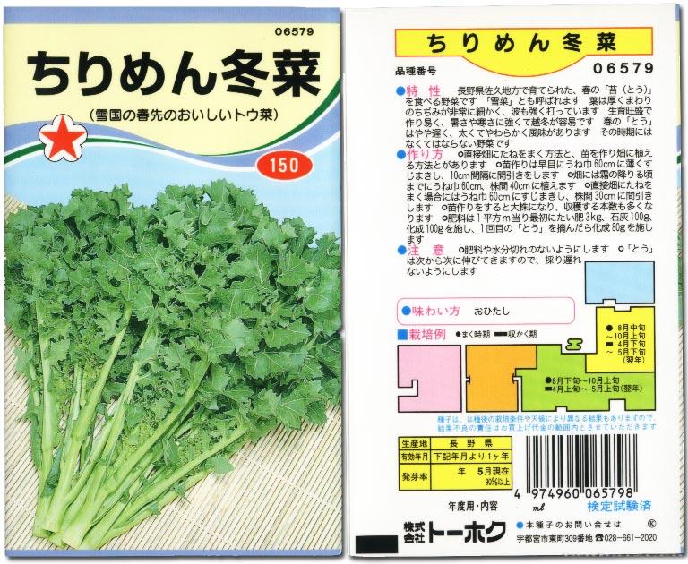 缩叶冬菜