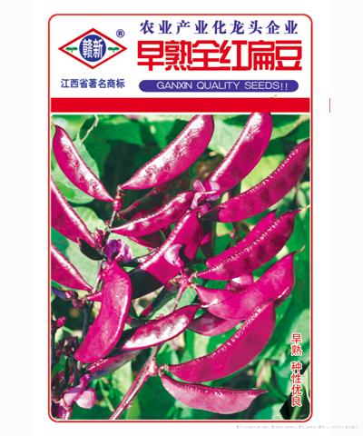  早熟全红扁豆