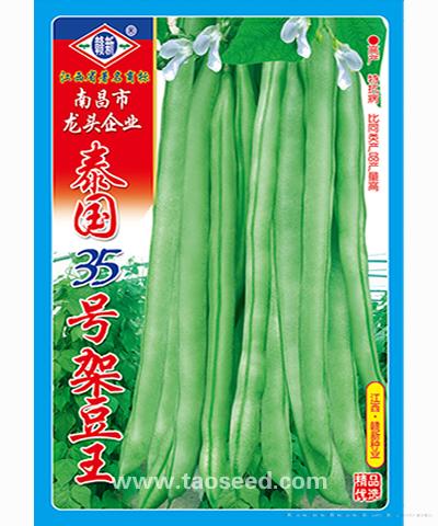 泰国35号架豆王
