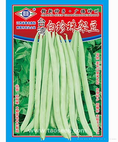 台湾白珍珠架豆