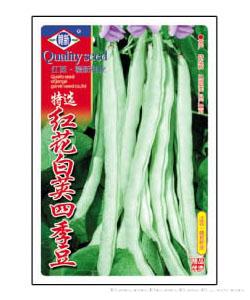 红花白荚四季豆