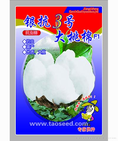 银抗3号