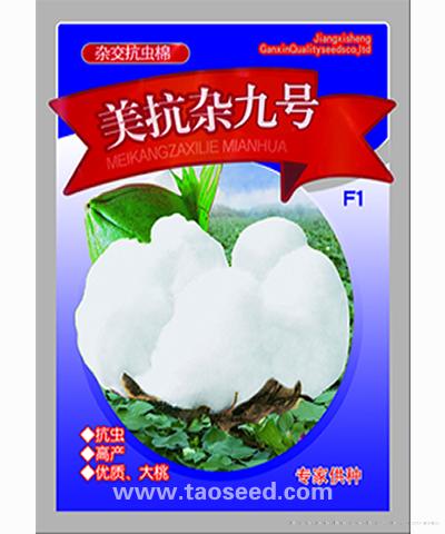  美抗杂九号