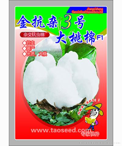 金抗杂3号大桃棉