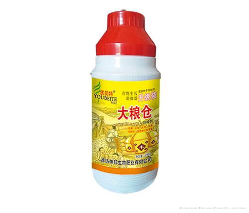 大粮仓