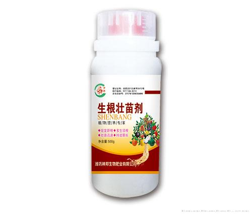 生根壮苗剂