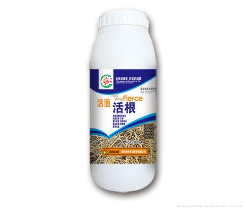 活菌活根