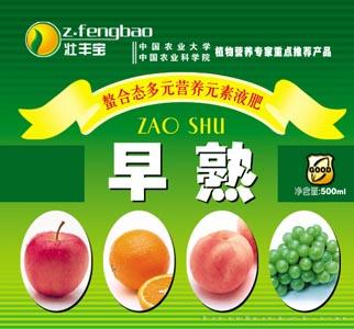早熟