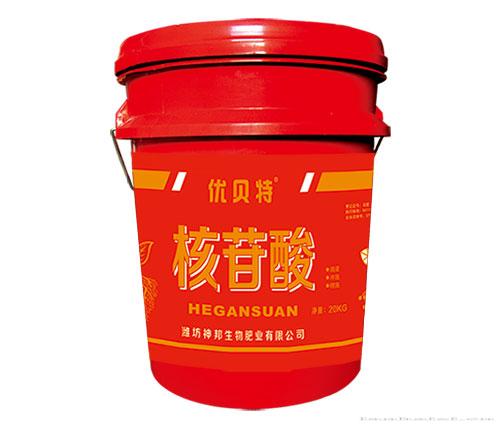 核苷酸