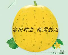 特甜豹点