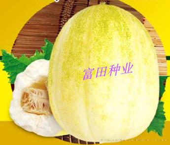脆肉极品金尊