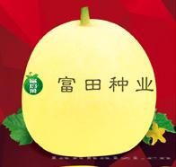 想下回6号