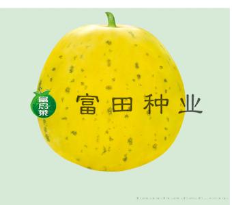 黄金豹点王