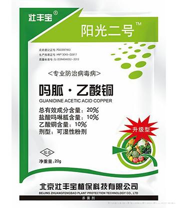 阳光二号